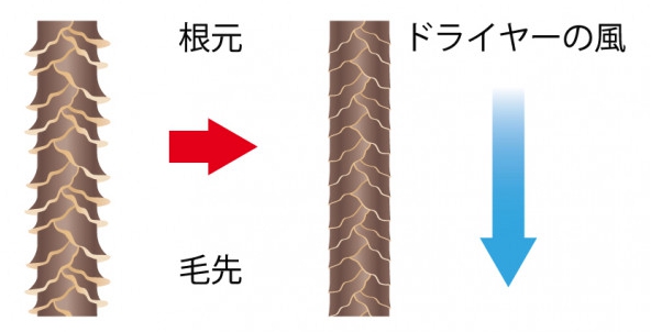 くせ毛,ツヤ髪