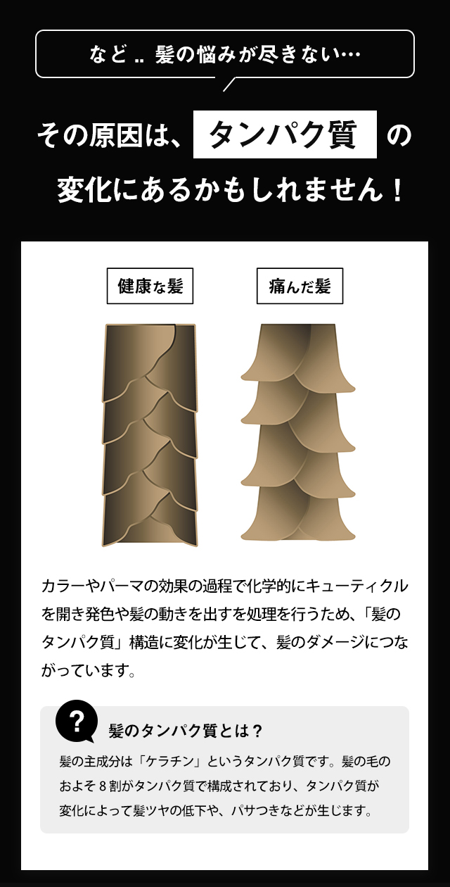 髪のタンパク質とは