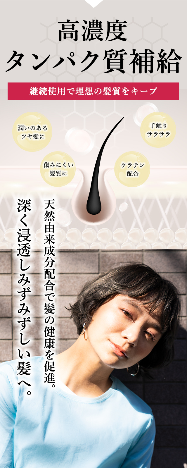 高濃度タンパク質補給